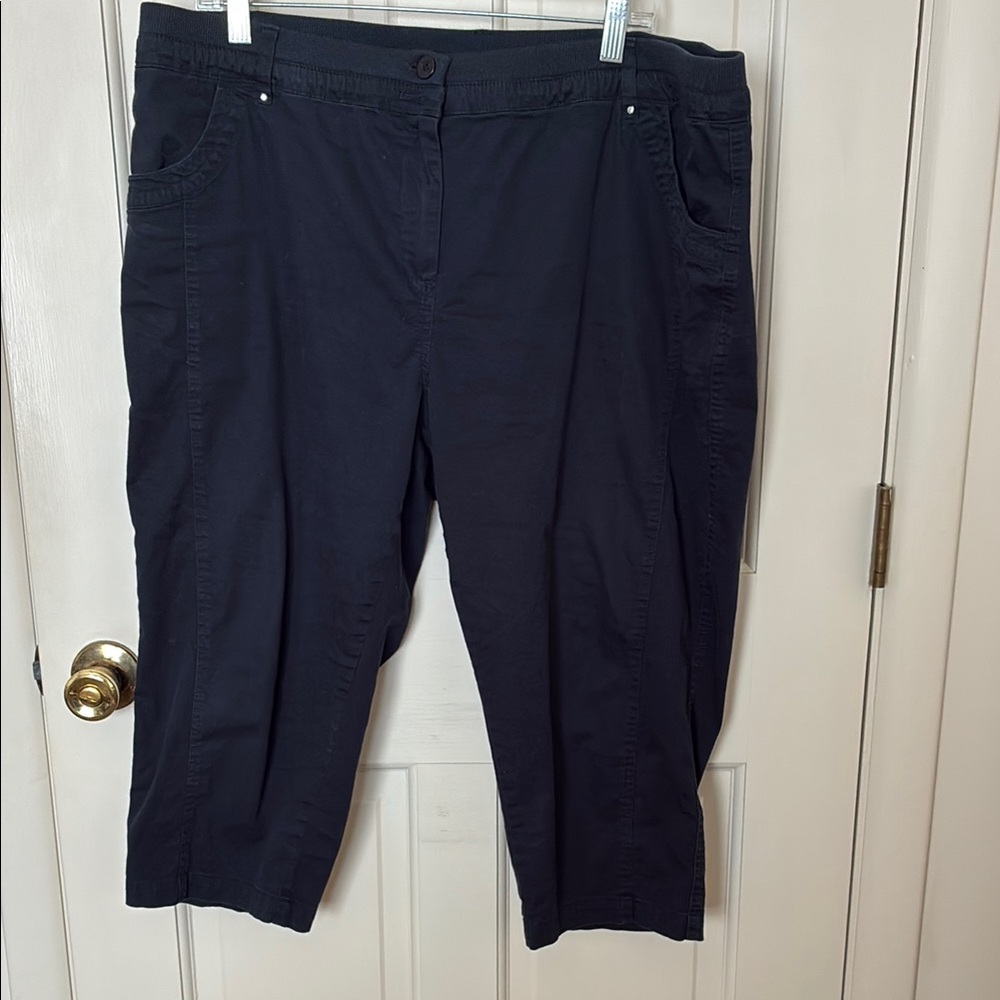 Briggs New York Black Capris Classic Fit